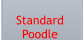 Standard  Poodle
