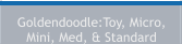 Goldendoodle:Toy, Micro, Mini, Med, & Standard